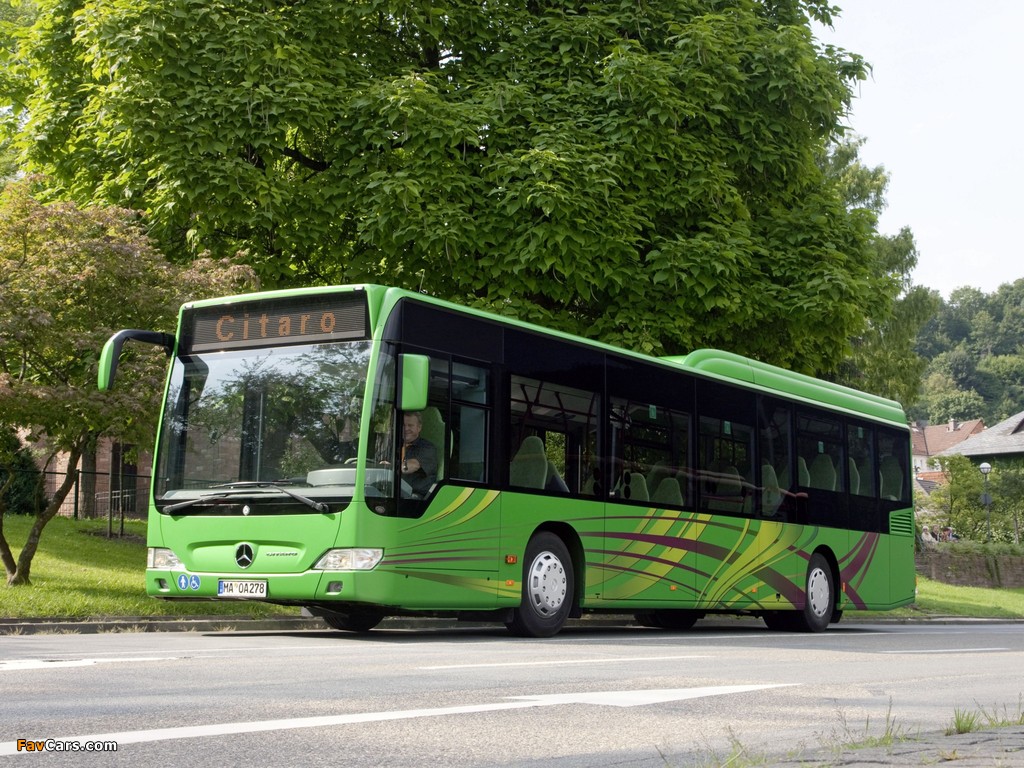 Mercedes-Benz Citaro LE Ü (O530) 2007–11 photos (1024 x 768)