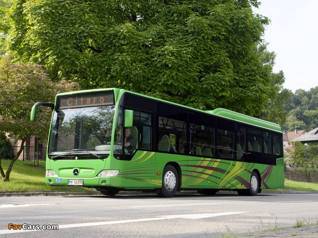 Mercedes-Benz Citaro LE Ü (O530) 2007–11 photos (640 x 480)