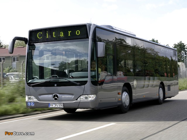 Mercedes-Benz Citaro K (O530) 2007–11 wallpapers (640 x 480)