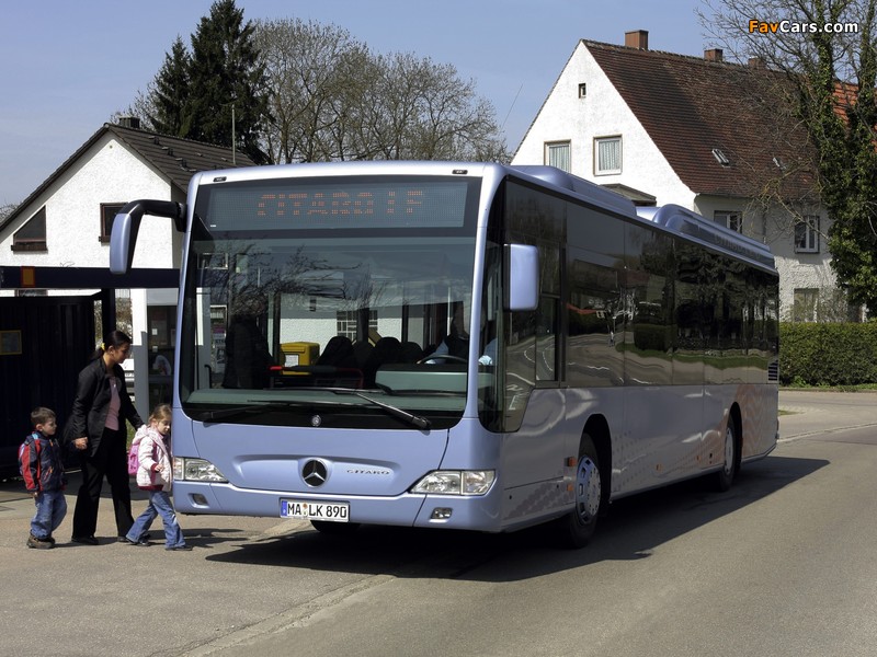 Photos of Mercedes-Benz Citaro LE Ü (O530) 2007–11 (800 x 600)