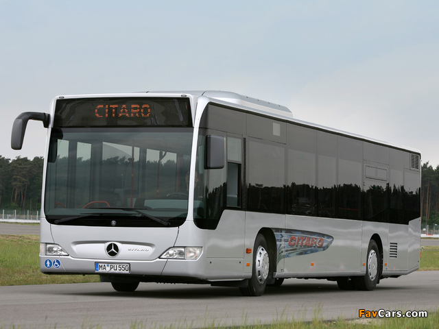 Pictures of Mercedes-Benz Citaro (O530) 2006–11 (640 x 480)