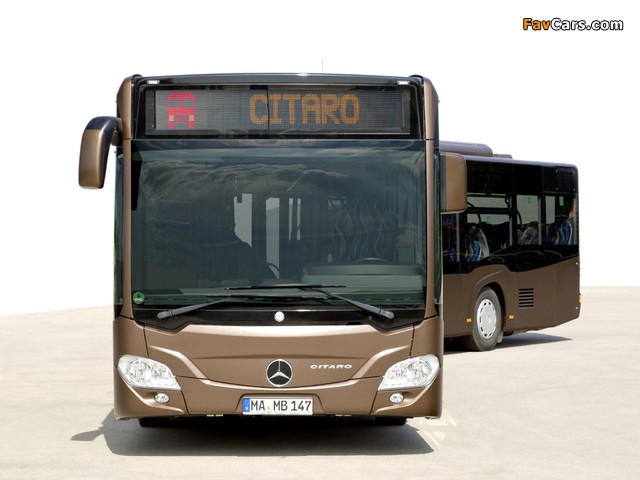 Pictures of Mercedes-Benz Citaro G (O530) 2011 (640 x 480)