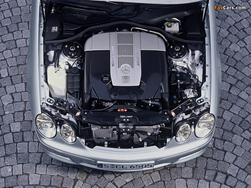 Mercedes-Benz CL 65 AMG (C215) 2003–06 photos (800 x 600)