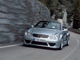 Images of Mercedes-Benz CLK AMG DTM Cabrio (A209) 2006