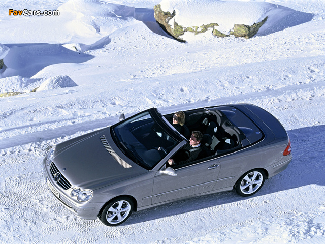 Mercedes-Benz CLK 500 Cabrio (A209) 2003–05 images (640 x 480)