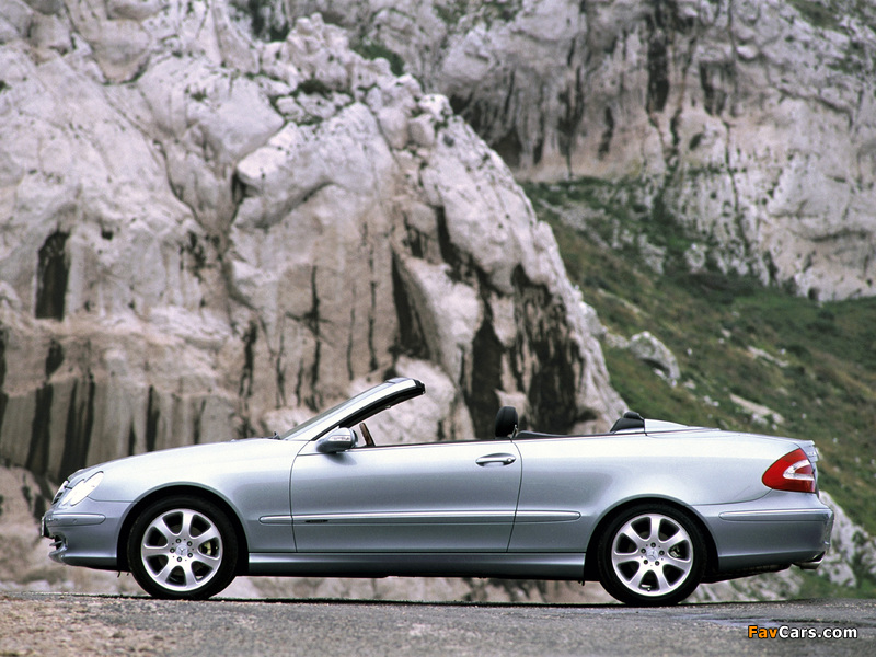 Mercedes-Benz CLK 240 Cabrio (A209) 2003–05 photos (800 x 600)