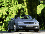 Mercedes-Benz CLK 240 Cabrio (A209) 2003–05 pictures