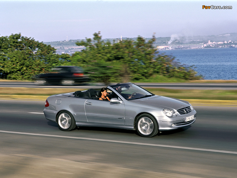 Pictures of Mercedes-Benz CLK 240 Cabrio (A209) 2003–05 (800 x 600)