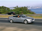 Pictures of Mercedes-Benz CLK 240 Cabrio (A209) 2003–05