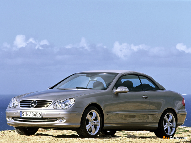 Pictures of Mercedes-Benz CLK 500 Cabrio (A209) 2003–05 (800 x 600)