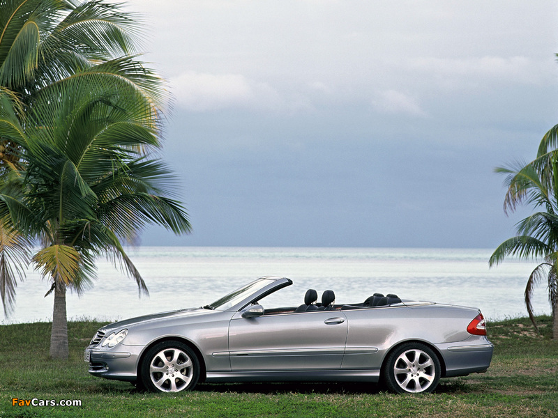 Mercedes-Benz CLK 500 Cabrio (A209) 2003–05 wallpapers (800 x 600)