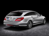 Pictures of Mercedes-Benz CLS 500 Shooting Brake (X218) 2012