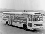 Images of Mercedes-Benz OE302 Versuchsbus 1969