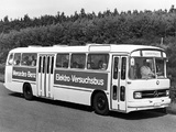Mercedes-Benz OE302 Versuchsbus 1969 photos