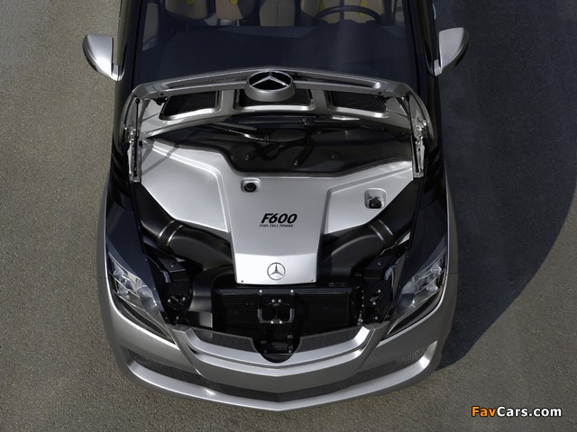 Mercedes-Benz F600 Hygenius Concept 2005 pictures (640 x 480)