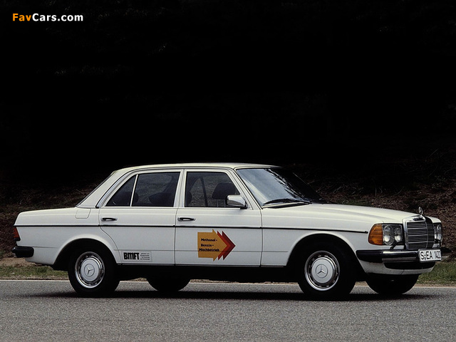 Pictures of Mercedes-Benz 230 Methanol Antrieb (W123) 1979 (640 x 480)