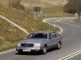 Pictures of Mercedes-Benz Auto 2000 Concept 1981