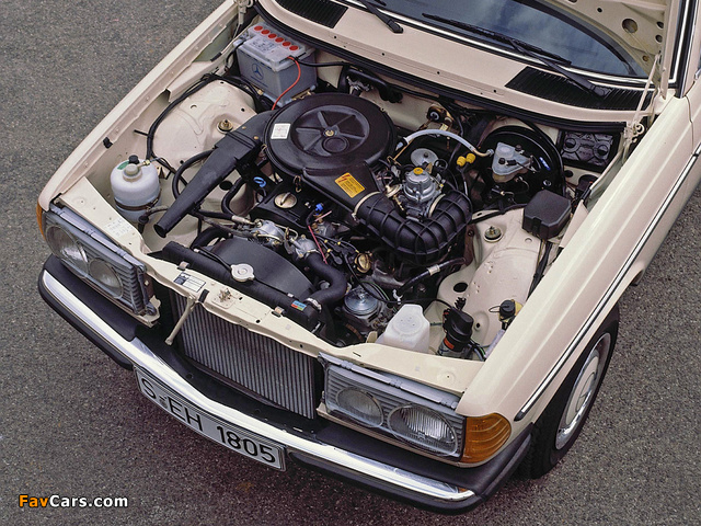 Images of Mercedes-Benz 200 (W123) 1976–85 (640 x 480)