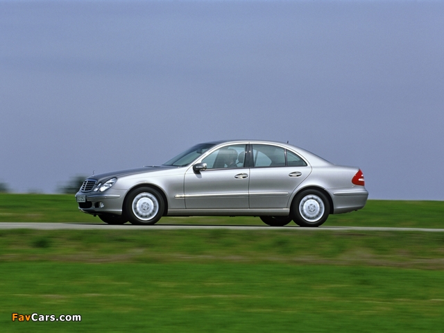 Images of Mercedes-Benz E 280 CDI 4MATIC (W211) 2002–06 (640 x 480)