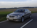 Images of Mercedes-Benz E 350 4MATIC (W211) 2004–06