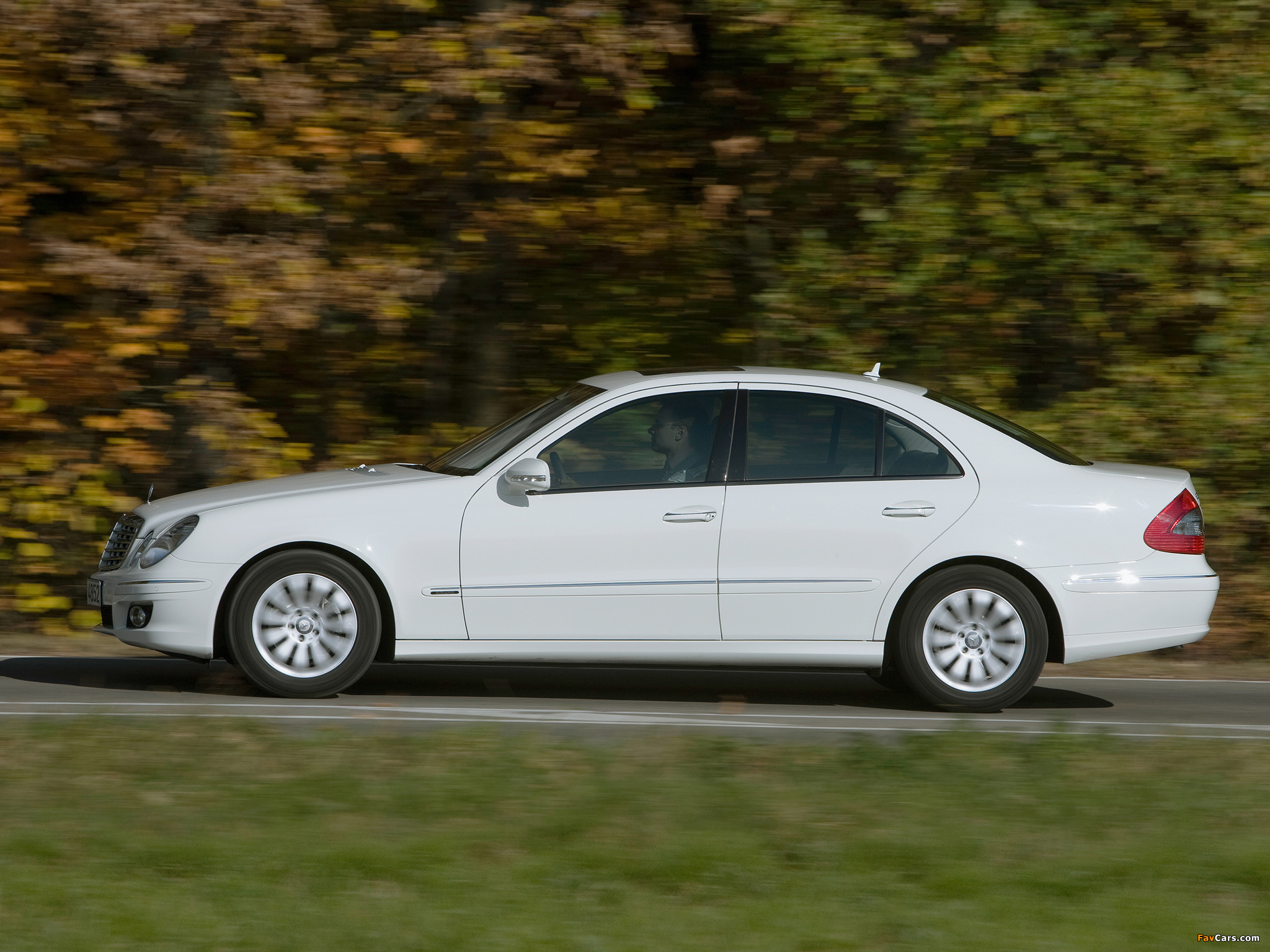 Images of Mercedes-Benz E 300 BlueTec (W211) 2008–09 (2048 x 1536)