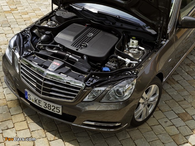 Images of Mercedes-Benz E 250 CDI Estate (S212) 2009–12 (640 x 480)