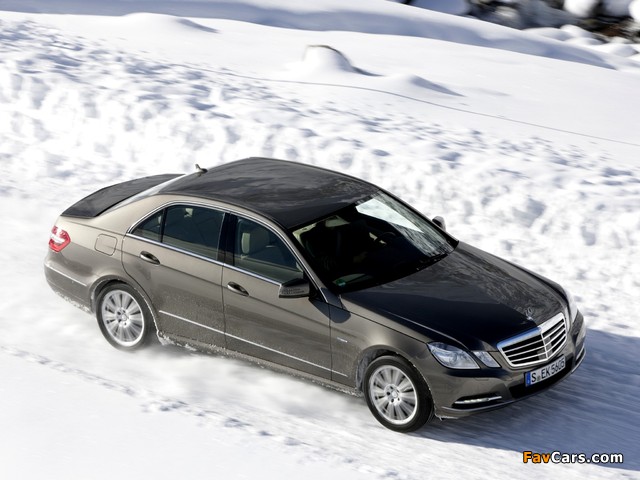 Images of Mercedes-Benz E 250 CDI 4MATIC (W212) 2011–12 (640 x 480)