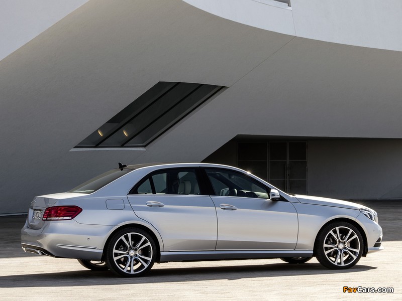 Images of Mercedes-Benz E 350 4MATIC (W212) 2013 (800 x 600)