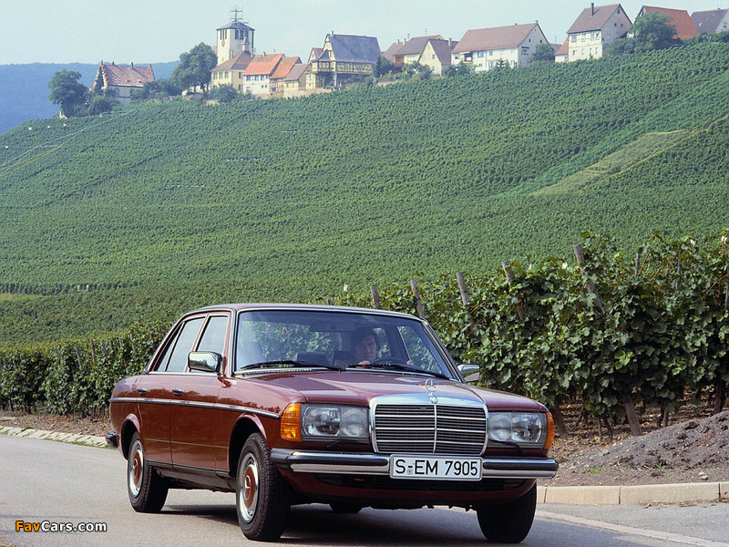 Mercedes-Benz E-Klasse (W123) 1976–85 images (800 x 600)