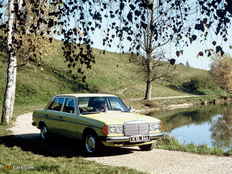 Mercedes-Benz E-Klasse (W123) 1976–85 images (800 x 600)