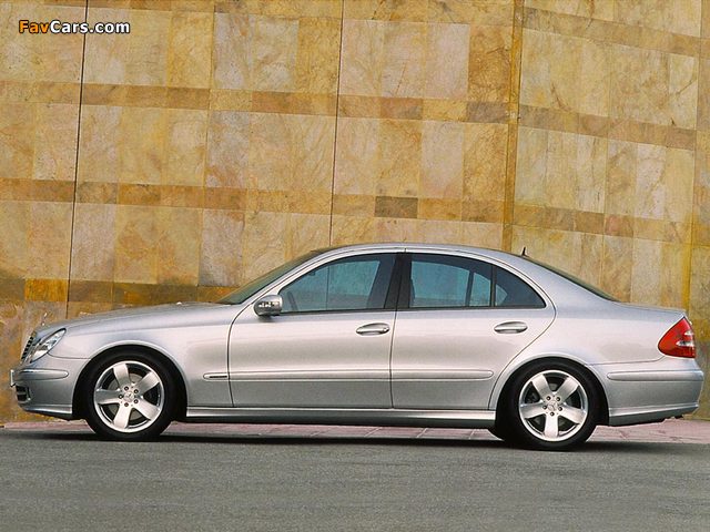 Mercedes-Benz E 320 (W211) 2002–03 photos (640 x 480)