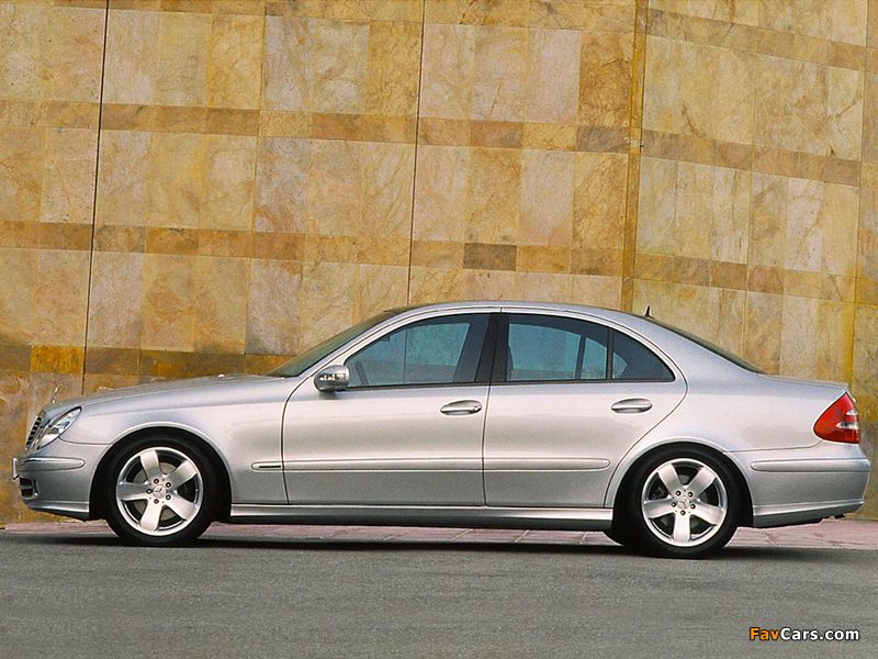 Mercedes-Benz E 320 (W211) 2002–03 photos (800 x 600)