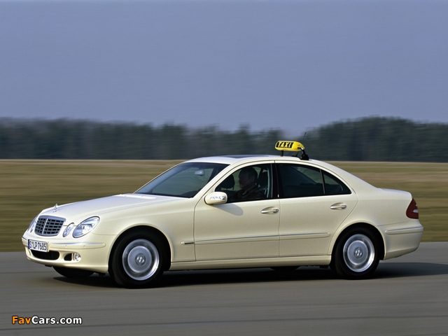 Mercedes-Benz E 220 CDI Taxi (W211) 2002–06 pictures (640 x 480)
