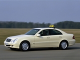 Mercedes-Benz E 220 CDI Taxi (W211) 2002–06 pictures