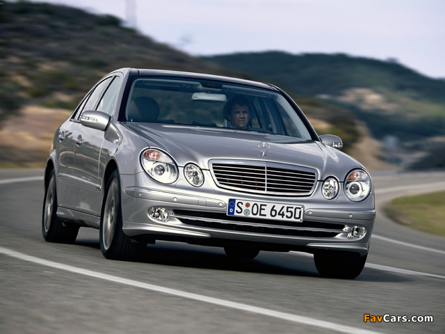 Mercedes-Benz E 350 (W211) 2004–06 pictures (640 x 480)