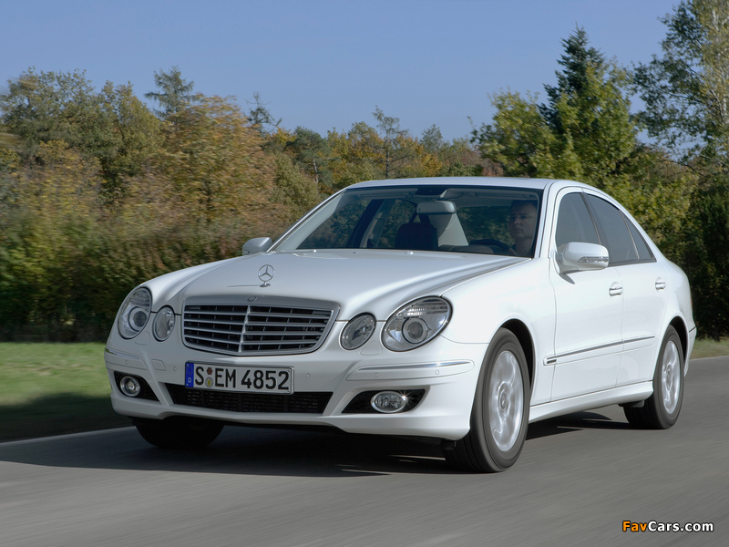Mercedes-Benz E 300 BlueTec (W211) 2008–09 images (800 x 600)