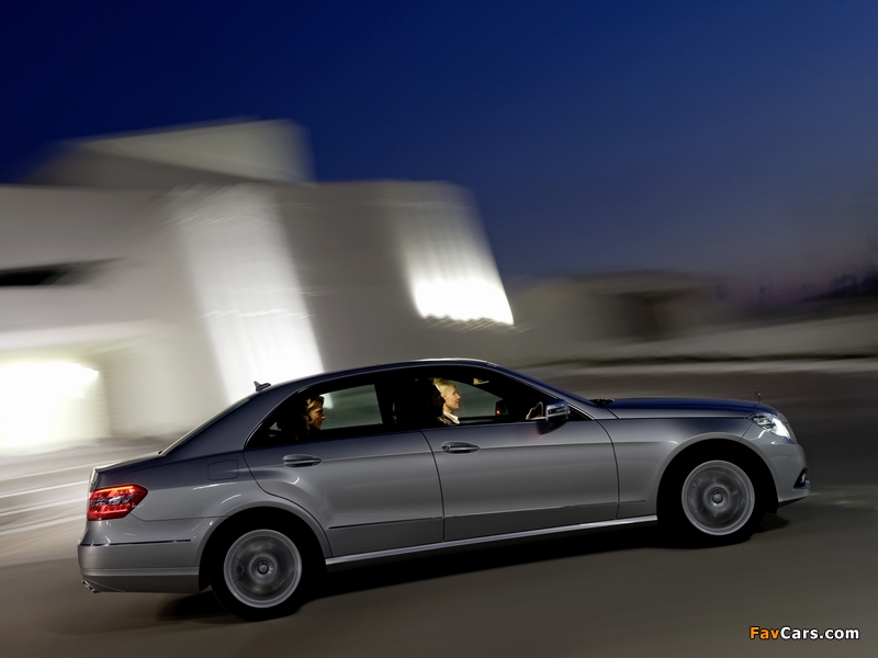 Mercedes-Benz E 500 (W212) 2009–12 images (800 x 600)