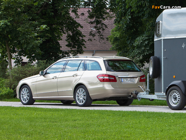 Mercedes-Benz E 250 CDI Estate (S212) 2009–12 images (640 x 480)