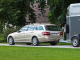 Mercedes-Benz E 250 CDI Estate (S212) 2009–12 images