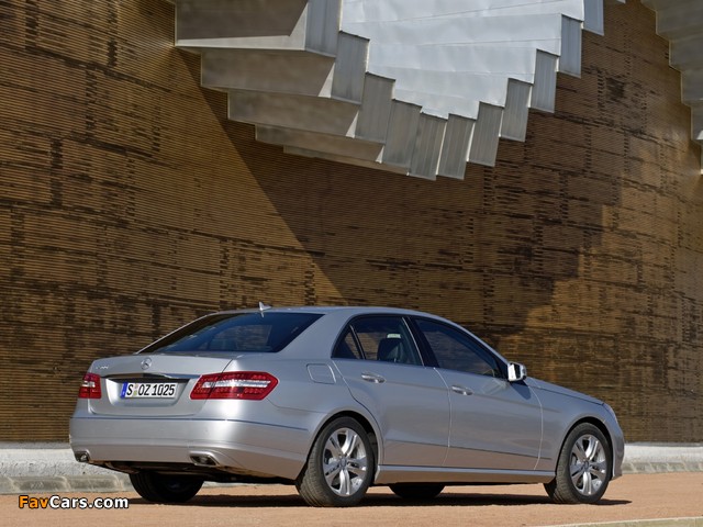 Mercedes-Benz E 500 (W212) 2009–12 pictures (640 x 480)