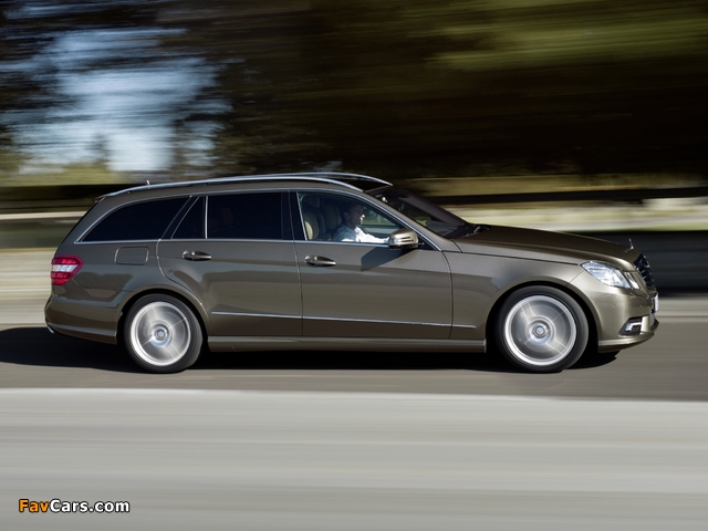 Mercedes-Benz E 500 AMG Sports Package Estate (S212) 2009–12 pictures (640 x 480)