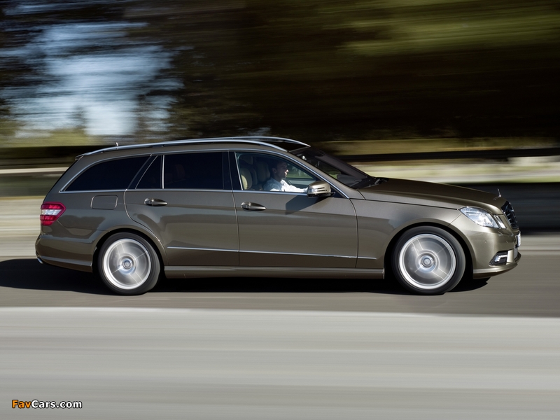 Mercedes-Benz E 500 AMG Sports Package Estate (S212) 2009–12 pictures (800 x 600)