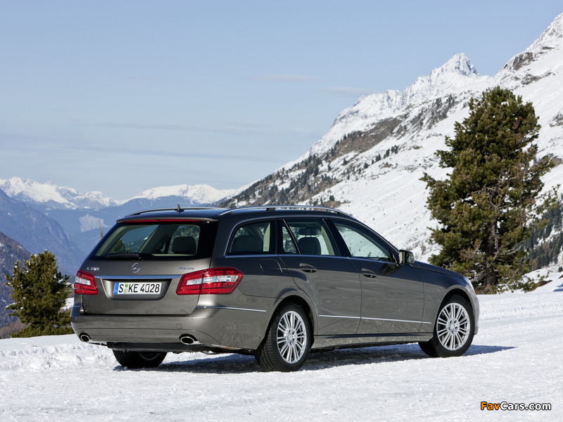 Mercedes-Benz E 350 4MATIC Estate (S212) 2009–12 pictures (800 x 600)