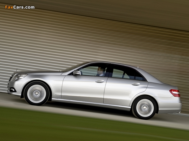 Mercedes-Benz E 500 (W212) 2009–12 pictures (640 x 480)