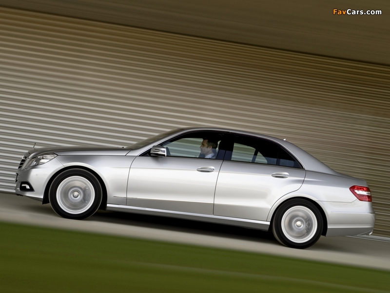 Mercedes-Benz E 500 (W212) 2009–12 pictures (800 x 600)