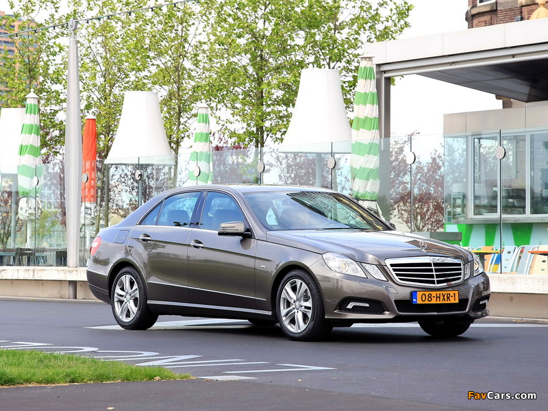 Mercedes-Benz E 250 CDI (W212) 2009–12 pictures (800 x 600)