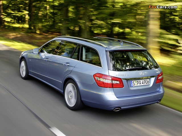 Mercedes-Benz E 350 CDI 4MATIC Estate (S212) 2009–12 pictures (640 x 480)