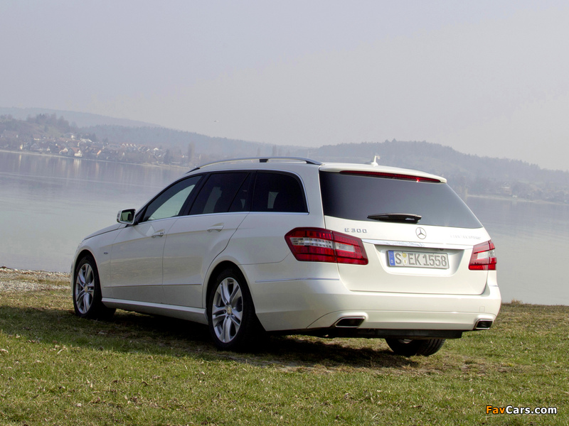 Mercedes-Benz E 300 BlueTec Hybrid Estate (S212) 2010–12 photos (800 x 600)