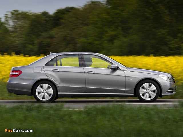 Mercedes-Benz E 200 NGT (W212) 2011–12 images (640 x 480)