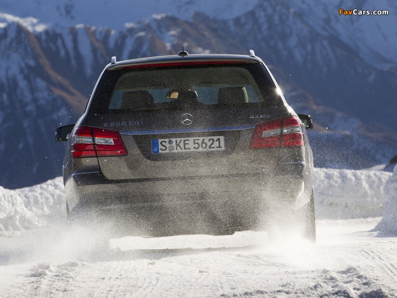 Mercedes-Benz E 250 CDI 4MATIC Estate (S212) 2011–12 images (800 x 600)